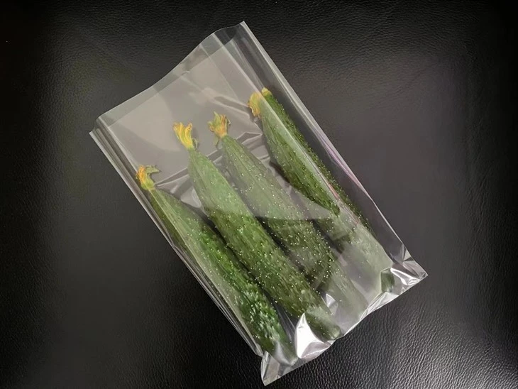 Plastic Anti-fog Bag